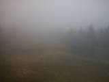 18 : 18