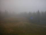 18 : 42