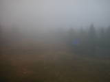 19 : 14