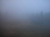 19 : 38