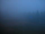 19 : 46
