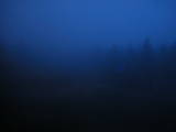 19 : 50