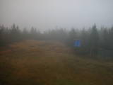 13 : 02