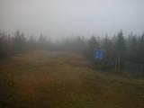 13 : 06