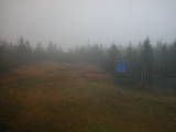 13 : 42