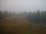 13 : 50