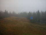 14 : 50