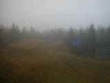 15 : 30
