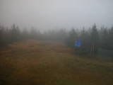 15 : 34