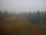 15 : 50