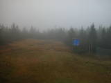 15 : 54