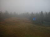 16 : 14
