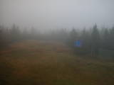 16 : 22
