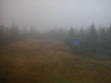 16 : 42