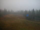 16 : 54