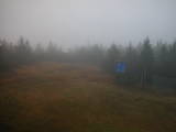 17 : 10