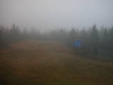 17 : 14