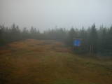13 : 02