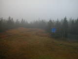 13 : 42