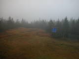13 : 46
