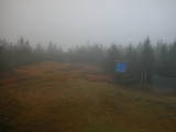 14 : 06