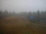 14 : 10