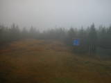 14 : 46