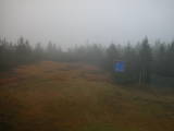 14 : 50