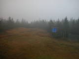 15 : 02