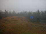 15 : 50