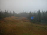 15 : 54