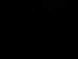 19 : 02