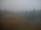 08 : 06