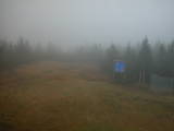 13 : 02