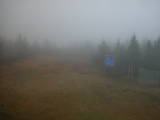 13 : 06