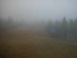 13 : 14