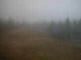 15 : 30