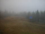15 : 34