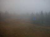 16 : 34