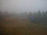 16 : 42