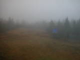 16 : 50