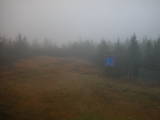 17 : 02