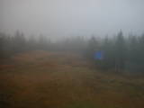 17 : 14