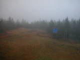 17 : 46