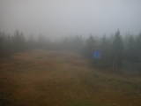 13 : 02