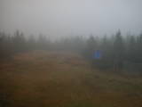 13 : 30