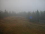 13 : 42