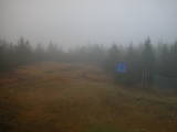 13 : 50