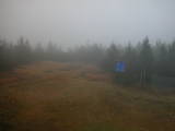 13 : 54
