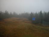 14 : 46
